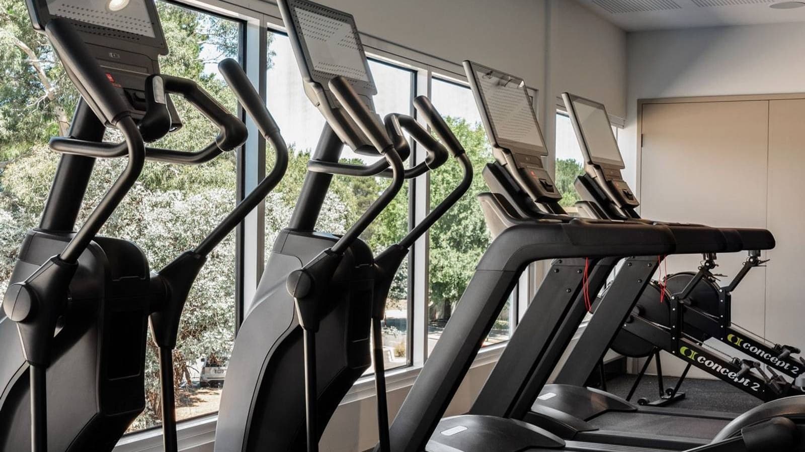 The cardio floor at Dynamiq, with cross-trainers and treadmills along a wall of windows